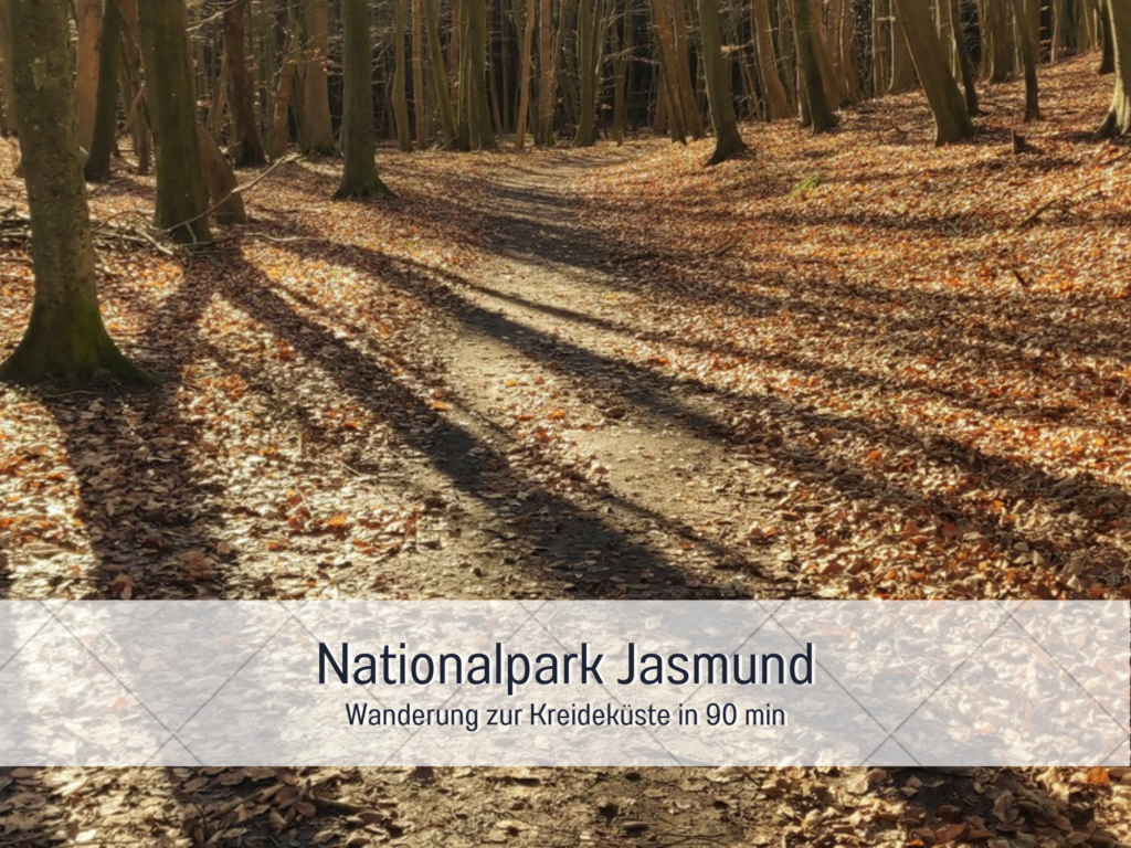Herbstlicher Wanderweg im Nationalpark Jasmund, von Sonnenlicht durchflutete Buchenwälder mit Laub bedeckt. Weg führt zur berühmten Kreideküste auf Rügen.